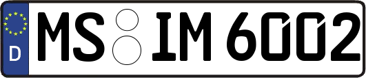 MS-IM6002