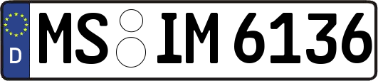 MS-IM6136