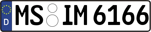MS-IM6166