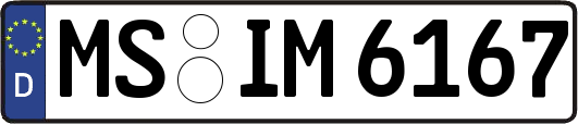 MS-IM6167