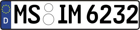 MS-IM6232