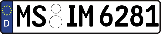 MS-IM6281