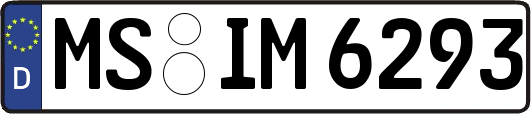 MS-IM6293