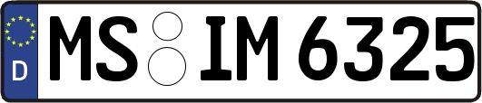 MS-IM6325