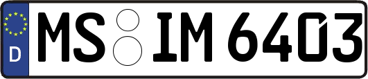 MS-IM6403
