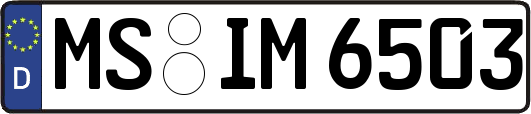 MS-IM6503