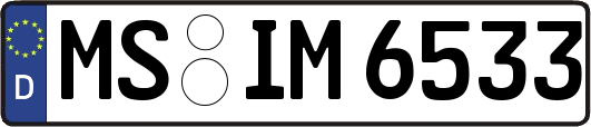 MS-IM6533
