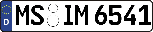 MS-IM6541