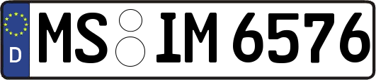 MS-IM6576