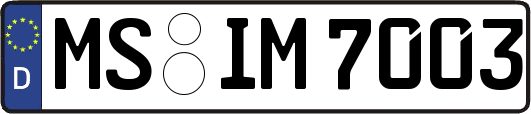MS-IM7003