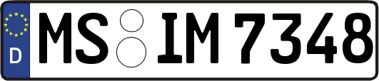 MS-IM7348