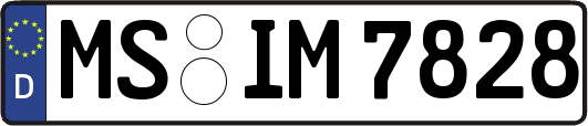 MS-IM7828