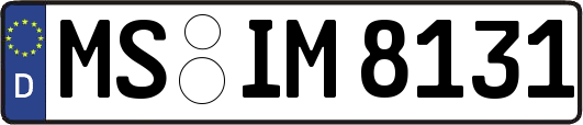 MS-IM8131