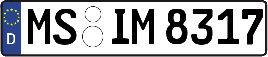 MS-IM8317