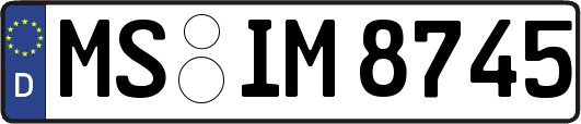 MS-IM8745