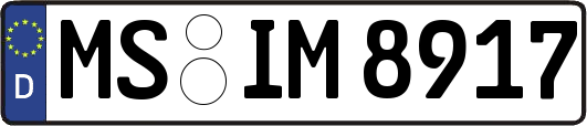 MS-IM8917