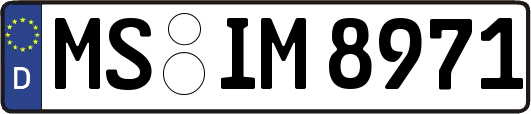 MS-IM8971