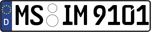 MS-IM9101
