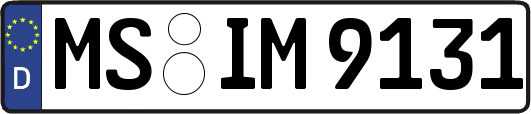 MS-IM9131