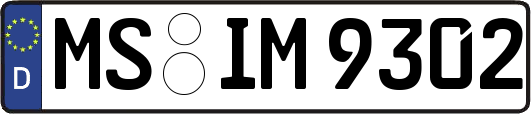 MS-IM9302