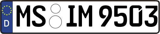 MS-IM9503