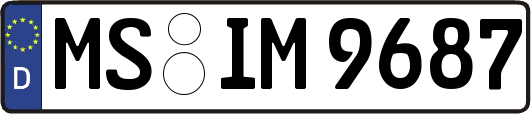 MS-IM9687