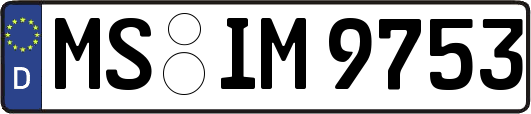 MS-IM9753