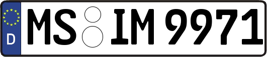 MS-IM9971