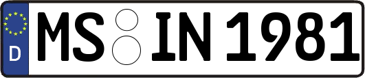 MS-IN1981