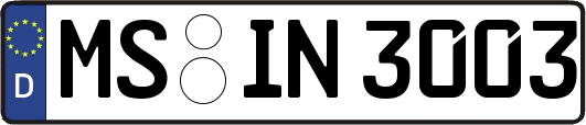 MS-IN3003