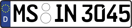 MS-IN3045