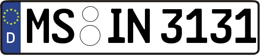 MS-IN3131