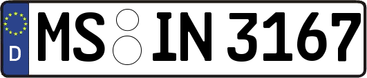 MS-IN3167