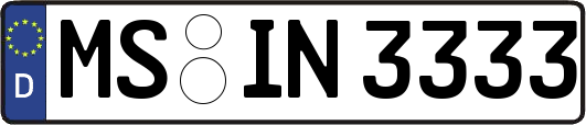 MS-IN3333