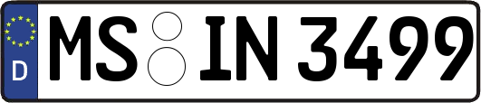 MS-IN3499