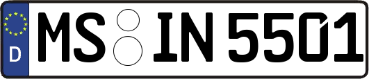 MS-IN5501