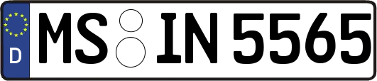 MS-IN5565