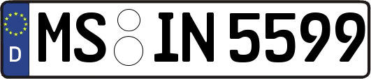 MS-IN5599