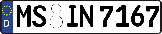 MS-IN7167