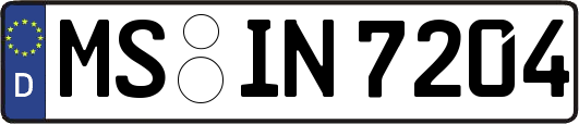 MS-IN7204