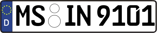 MS-IN9101