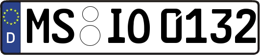 MS-IO0132