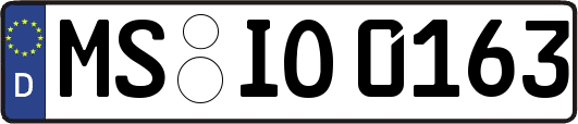 MS-IO0163