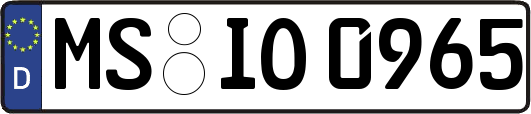 MS-IO0965