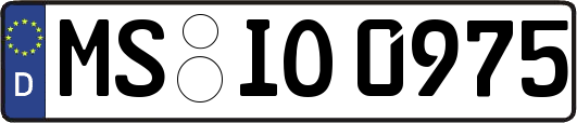 MS-IO0975