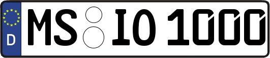 MS-IO1000