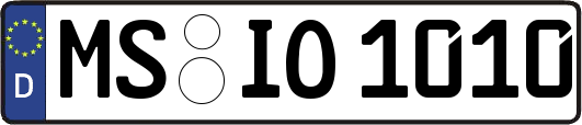 MS-IO1010