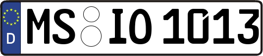 MS-IO1013