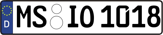 MS-IO1018