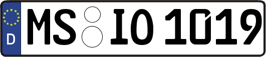 MS-IO1019